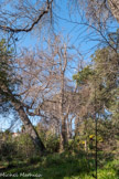 <center>Le parc de Maison Blanche.</center>