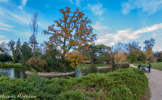<center>Le parc de Maison Blanche.</center>