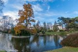 <center>Le parc de Maison Blanche.</center>La maison domine le lac où s'ébrouent des cygnes et des canards.
