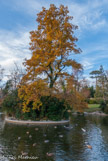 <center>Le parc de Maison Blanche.</center>