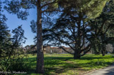 <center> L'hôpital Salvator.</center>Le parc de l'hôpital Salvator s'étend sur une surface de 7 ha, écrin de nature et de calme en plein coeur de la ville. En 2013, le jardinier paysagiste Gilles Clément a proposé de réaliser le jardin de l'hospitalité riche d'espaces ludiques, oniriques et écologiques. Il vise à améliorer la qualité de vie des enfants et adolescents en soins et de l'ensemble des usagers