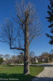 <center> L'hôpital Salvator.</center>Le parc.
